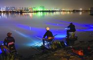 鱼的夜视能力：是饵还是夜钓的秘诀？