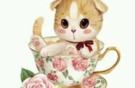 世界萌猫系列：茶杯猫的独特魅力