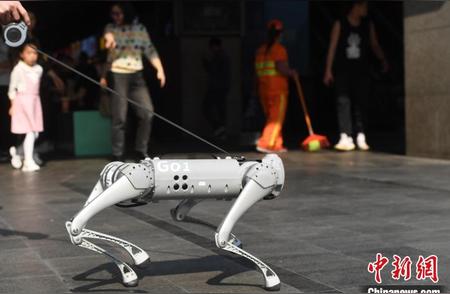 探索未来：机器宠物狗在闹市的独特体验